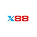 @wx88vipcom