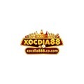 @xocdia888cocom