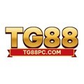 @tg88pccom