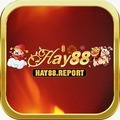 @Hay88report