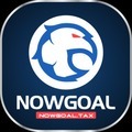 @nowgoaltax