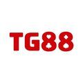 @tg88cdcom