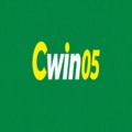 @cwin05ink1