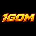 @1gomdev