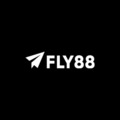 @fly888tech