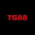 @tg884top