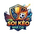 @soikeonhacaicapital