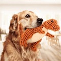@dogcute8686